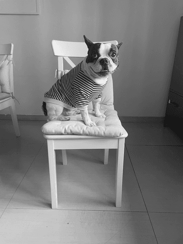 Marlo